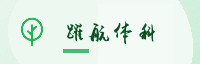 合作伙伴